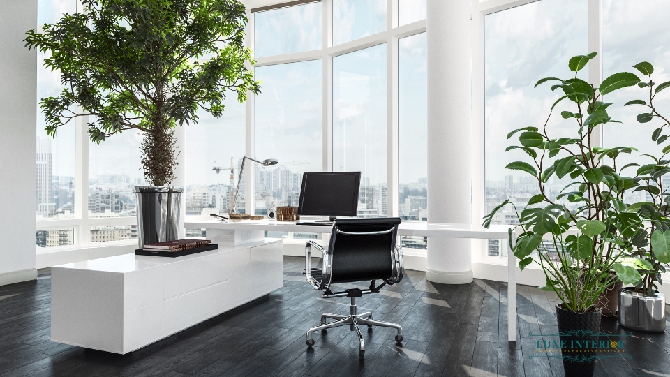 Incorporating Biophilic Design in Office Interiors