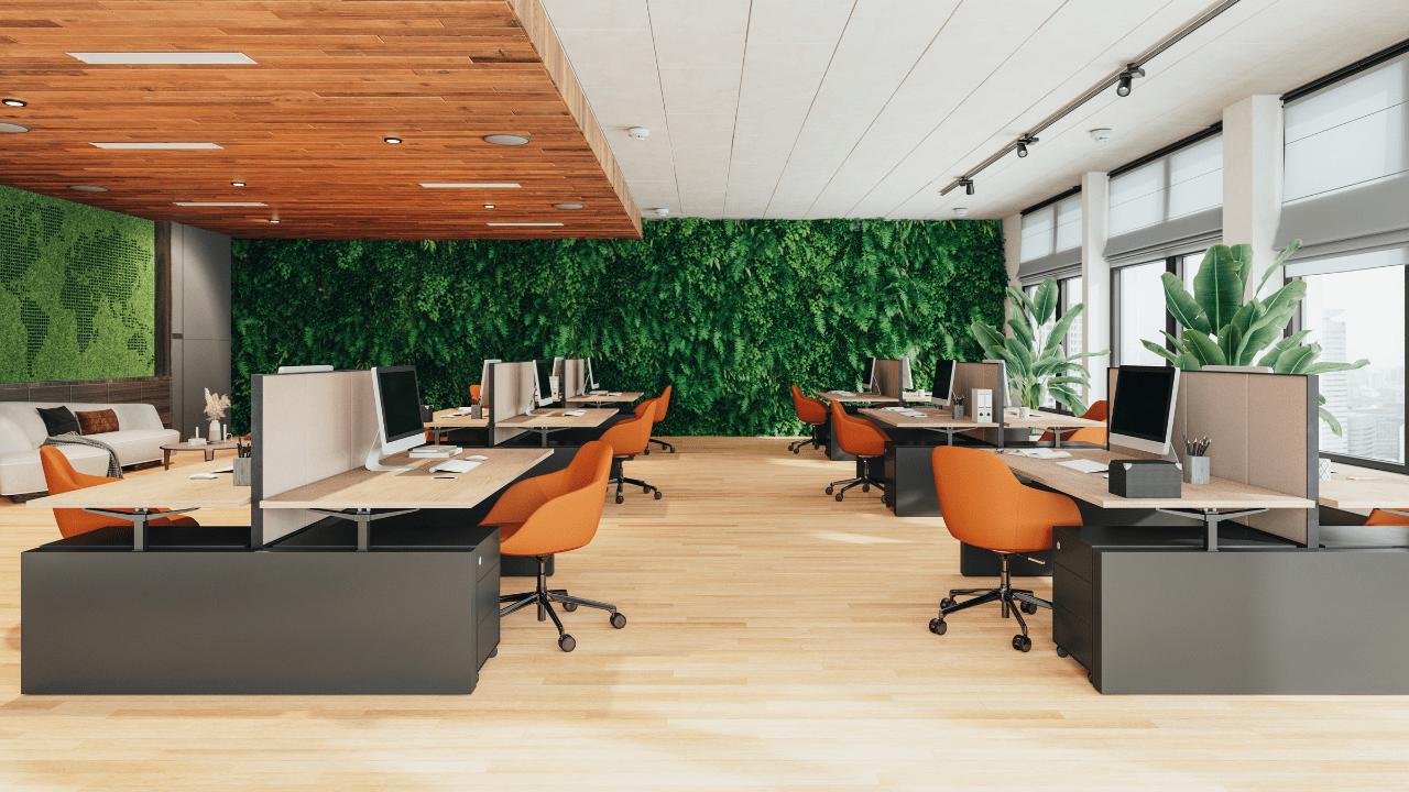 Sustainability and Green Initiatives in office interior