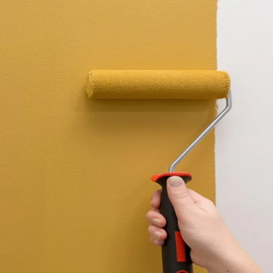 Expert Wall Painting Contractor